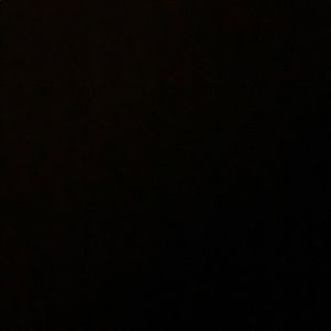 Meet your Posher, Ella